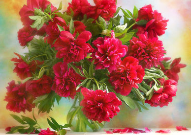 ورد أحمر جميل Red Flowers - صور ورد وزهور Rose Flower images