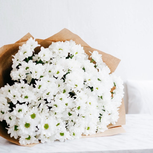 صور زهور وورود بيضاء جميلة - صور ورد