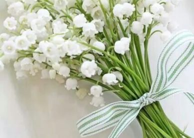 باقات ورد ابيض White rose bouquets 2018 - صور ورد